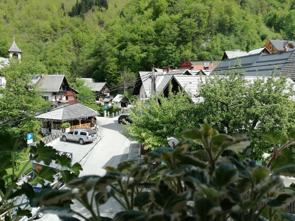 Apartment Ivanka Cvetek Bohinj Bagian luar foto